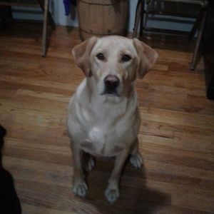 Meet your Posher, Skyler